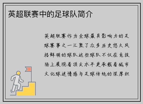 英超联赛中的足球队简介